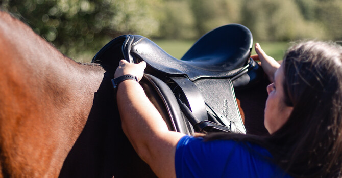 Seasonal Changes, Saddle Fit, and Spinal Health image